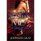 The Secrets Between Me And Your Boo 3 - Paperback
