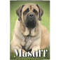 Mastiff: Dog breed overview and guide - Paperback