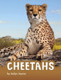 Cheetahs - Hardcover