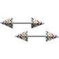 14G 9/16 Rainbow Chevron End with an Arrow Nipple Ring Set