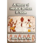 A history of medical services in Sudan - Paperback