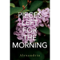 Pieces Left for the Morning - Paperback
