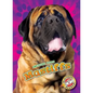 Mastiffs Mastiffs - Library Binding