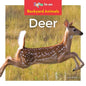 Deer - Library Binding