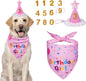Dog Birthday Party Supplies – Premium Bandana & Hat Set for Dogs