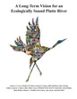 A Long-Term Vision for an Ecologically Sound Platte River - Paperback