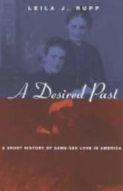 A Desired Past: A Short History of Same-Sex Love in America - Paperback