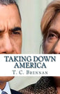 Taking Down America: the Destructive Policies of Barack Obama and Hillary Clinton - Paperback
