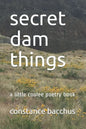 secret dam things: a little coulee poetry book - Paperback