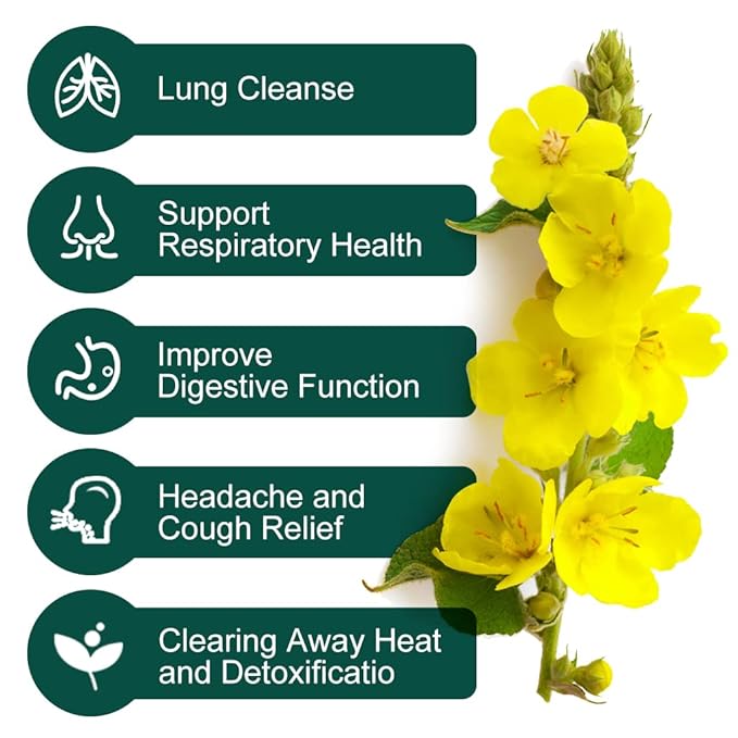 Mullein Leaf Tea Bags - Lungs Cleanse and Respiratory Support, Herbal Teas, Caffeine Free, 30 Tea Bags