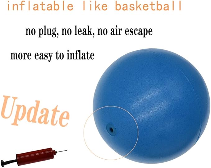 Pilates Ball 8 inch, Small Exercise Ball for Between Knees with Needle Pump for Core Workout & Physical Therapy Yoga PT