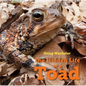 The Hidden Life of a Toad - Hardcover
