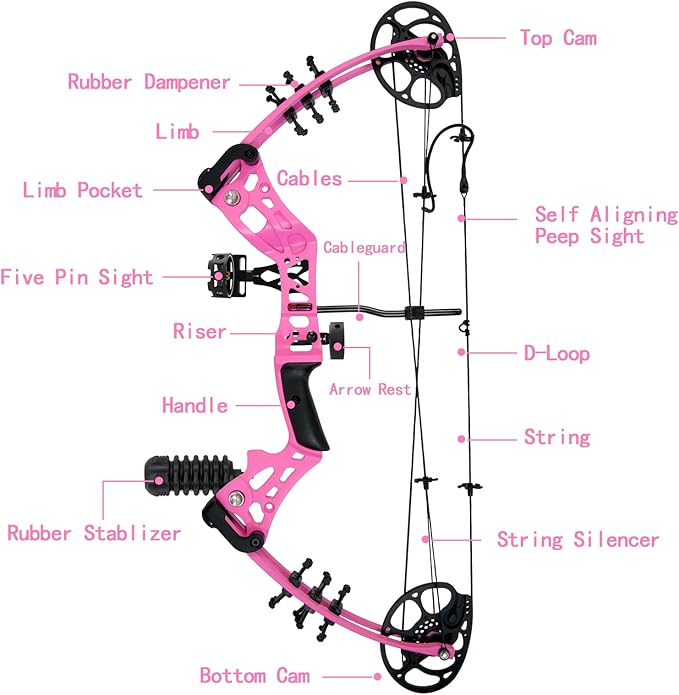 Youth Compound Bow Set 15-45 Lbs for Teens and Beginner, Package with Archery Hunting Equipment, Max Speed 260fps, Adjustable, Right Hand