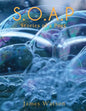 S.O.A.P (Stories of a Poet) - Paperback
