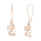 Robert Lee Morris Soho Women's Caged Stone Crystal Dangle Earrings One Size