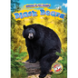 Black Bears - Library Binding