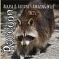 Raccoon: Aakash and Adithya's Wild Facts - Paperback