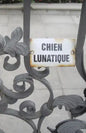 Chien Lunatique: Poems - Paperback