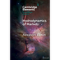 Hydrodynamics of Markets - Paperback