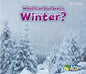 What Can You See in Winter? - Paperback