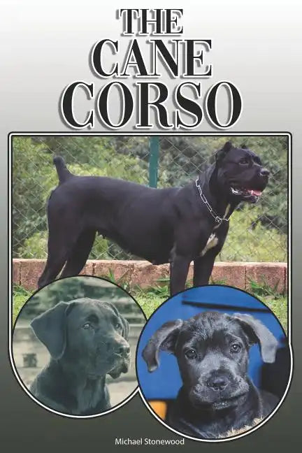 The Cane Corso: A Complete and Comprehensive Owners Guide To: Buying, Owning, Health, Grooming, Training, Obedience, Understanding and - Paperback