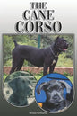 The Cane Corso: A Complete and Comprehensive Owners Guide To: Buying, Owning, Health, Grooming, Training, Obedience, Understanding and - Paperback