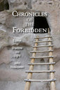 Chronicles of the Forbidden: Essays of Shadow and Light - Paperback