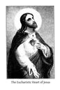 The Eucharistic Heart of Jesus: Readings for the Month of June - Paperback