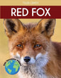 Red Fox: Fascinating Animal Facts for Kids - Paperback