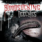 Bloodsucking Leeches - Library Binding