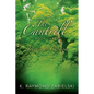 The Cantrill Book Three: Journey to Chrysom - Paperback