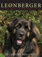 The Leonberger: A Comprehensive Guide to the Lion King of Breeds - Hardcover