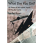 What Else You Got?: 40 Years of Mis-spent Youth in the Ad Game - Paperback