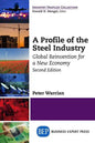 A Profile of the Steel Industry: Global Reinvention for a New Economy, Second Edition - Paperback