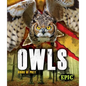 Owls - Library Binding