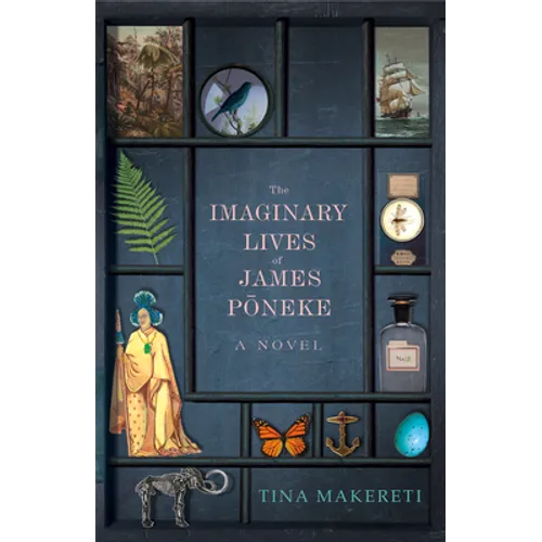The Imaginary Lives of James Poneke - Paperback
