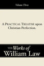 A Practical Treatise upon Christian Perfection, Volume 3 - Paperback