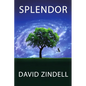 Splendor - Paperback