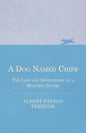 A Dog Named Chips - The Life and Adventures of a Mongrel Scamp - Paperback