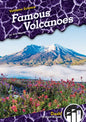 Famous Volcanoes - Library Binding