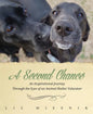 A Second Chance: An Inspirational Journey through the Eyes of an Animal Shelter Volunteer - Paperback