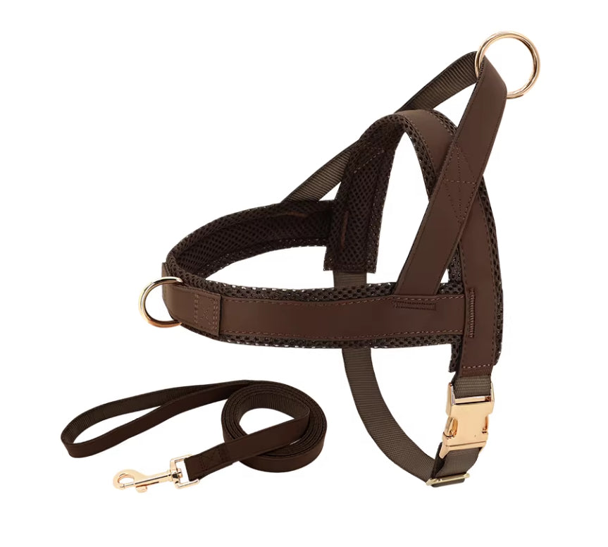 Lettering Large Dog  Vest Chest Harness