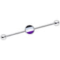 14G Black Gray Purple Asexual Pride Flag Industrial Barbell 38mm