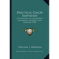 Practical Color Simplified: A Handbook on Lacquering, Enameling, Coloring and Painting 1928 - Paperback