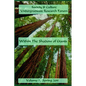 Society & Culture Undergraduate Research Forum 2015 Journal Within the Shadow of Giants - Paperback