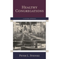 Healthy Congregations: A Systems Approach - Paperback