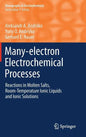 Many-Electron Electrochemical Processes: Reactions in Molten Salts, Room-Temperature Ionic Liquids and Ionic Solutions - Hardcover