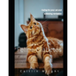 Feline Diabetes: Caring For Your Cat and Achieving Remission - Paperback