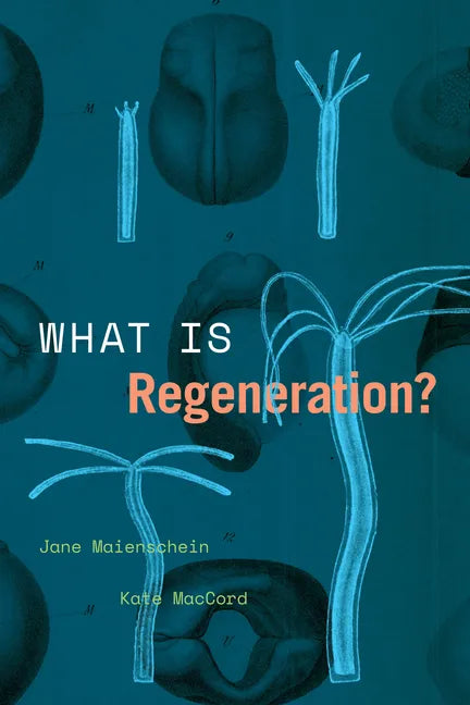What Is Regeneration? - Paperback