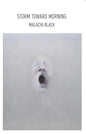 Storm Toward Morning - Paperback